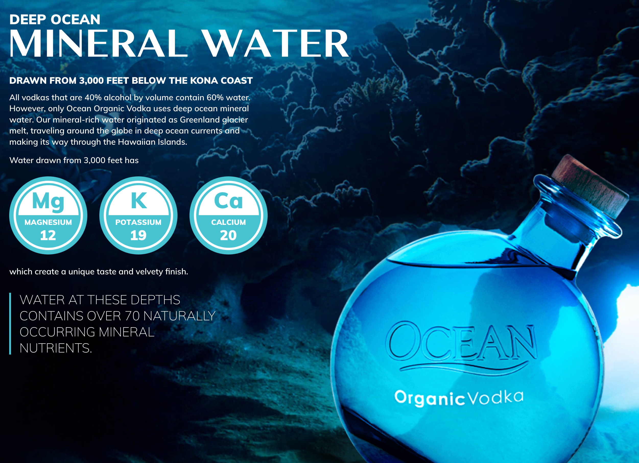 Ocean Vodka Organic - 375mL