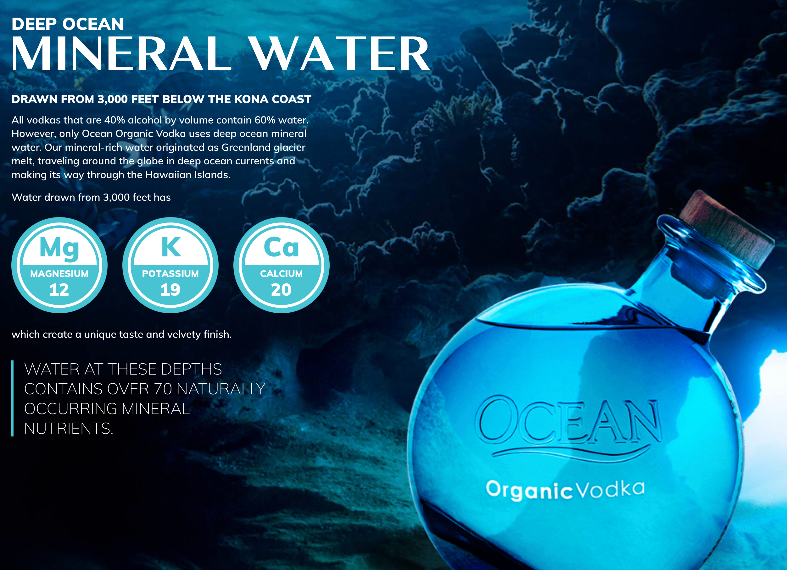 Ocean Vodka Organic 750mL