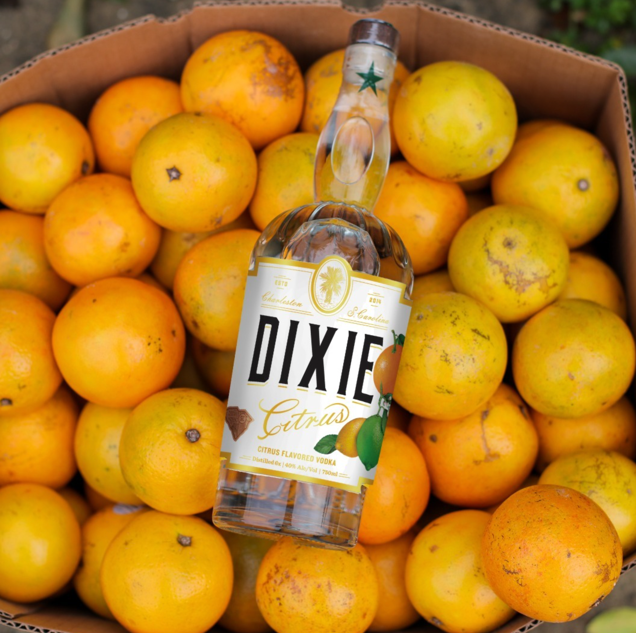 Dixie Citrus Flavored Vodka bottle surrounded by fresh Florida oranges, showcasing vibrant citrus flavors.
