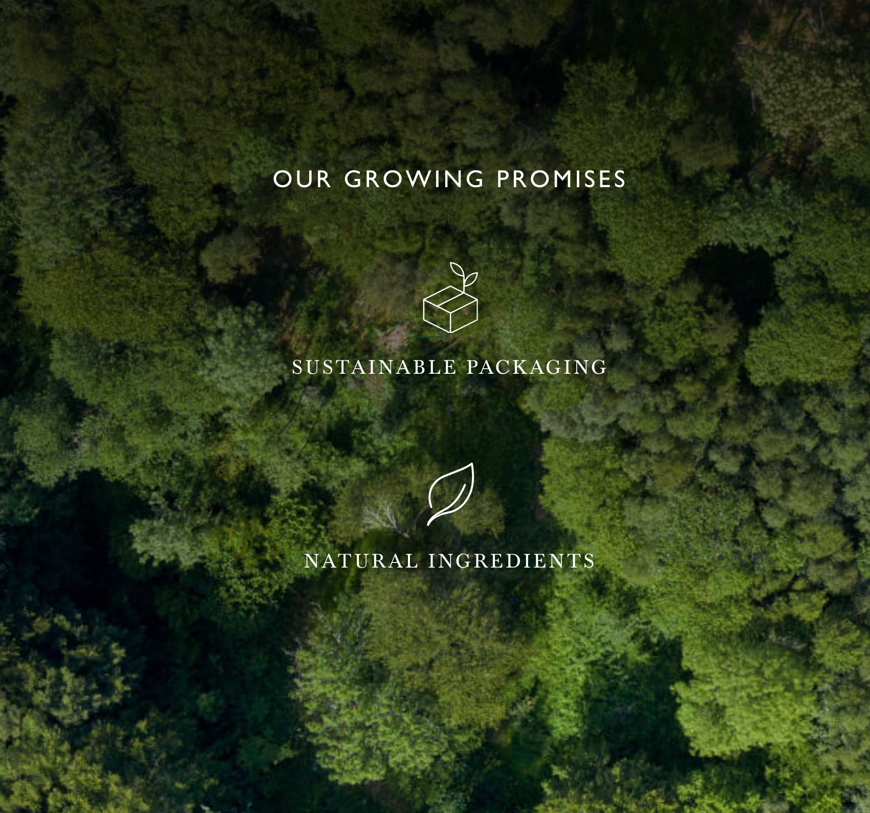 Seedlip Grove 42 Non Alcoholic Spirit