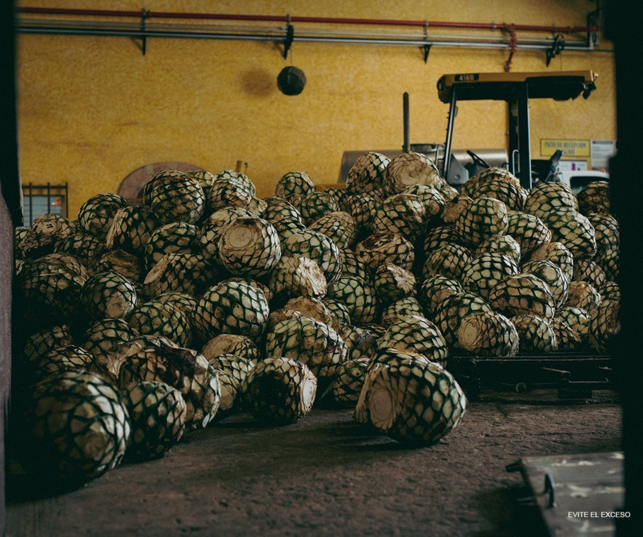 Siete Leguas De Antano Extra Añejo Tequila