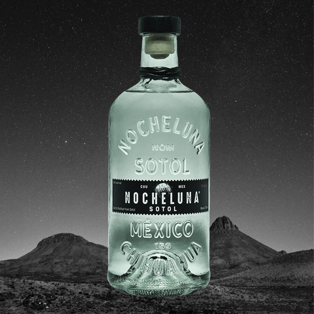 Nocheluna Sotol Blanco Spirit bottle with a scenic Chihuahuan desert background, showcasing its unique flavors.