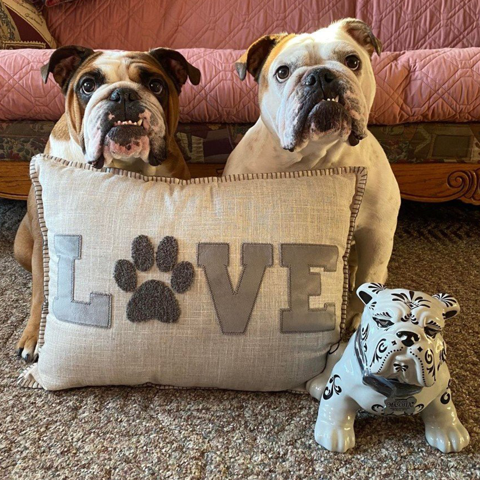 Two bulldogs sitting beside a pillow with 'LOVE' and a decorative bulldog figurine.
