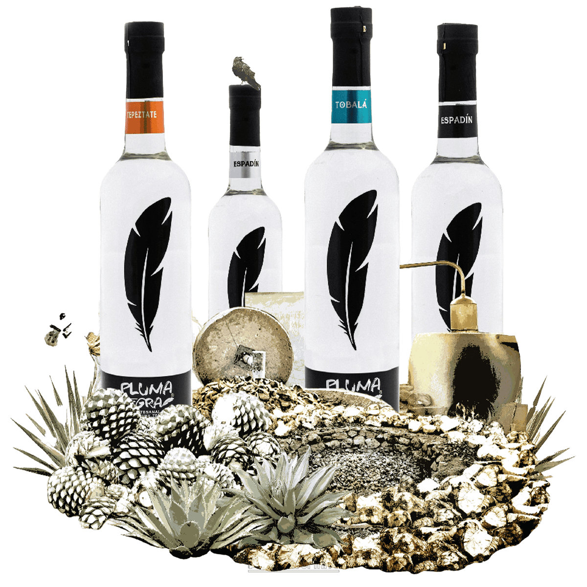 Pluma Negra Espadin Silver Mezcal bottles surrounded by maguey plants and natural elements.