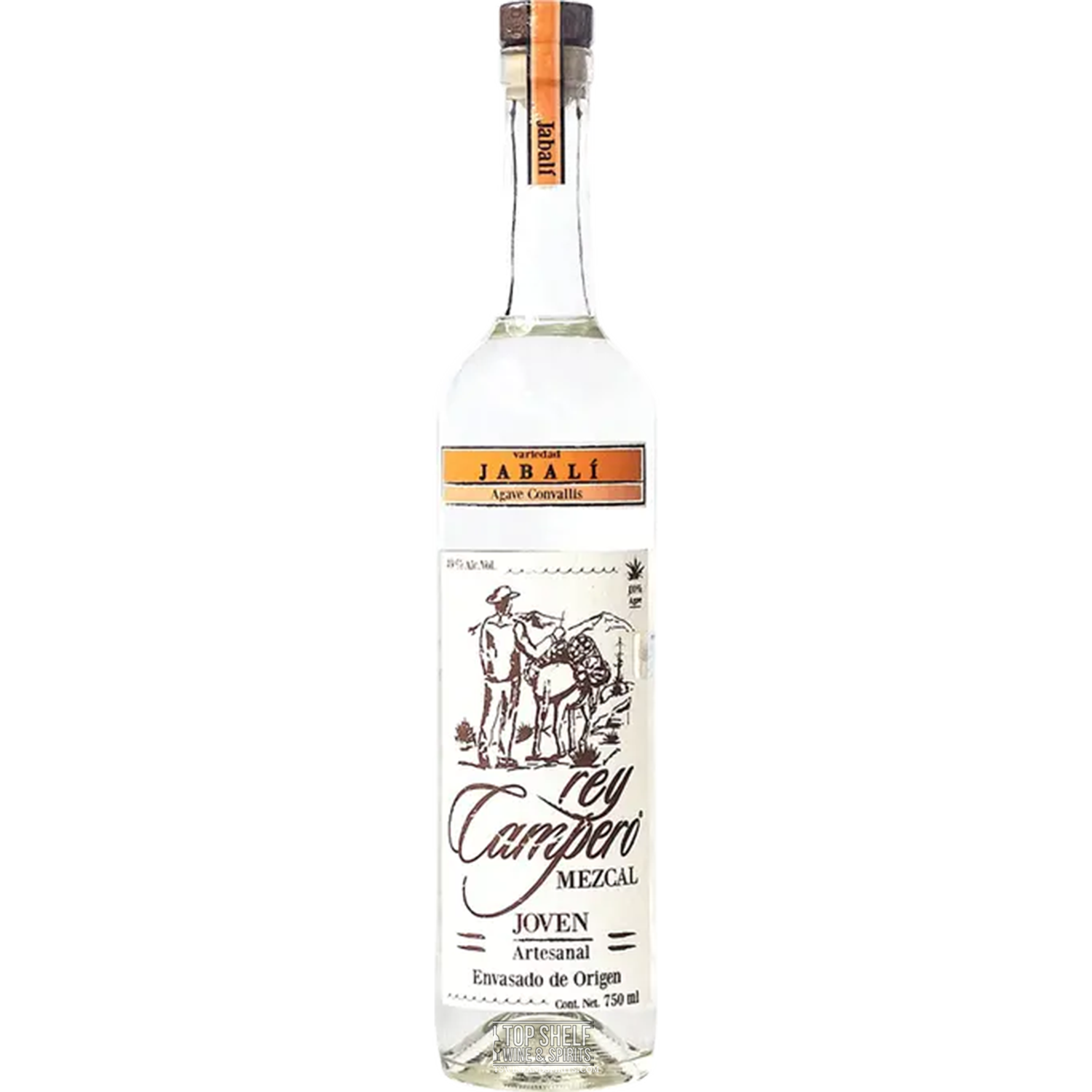 Rey Campero Jabalí Joven Mezcal
