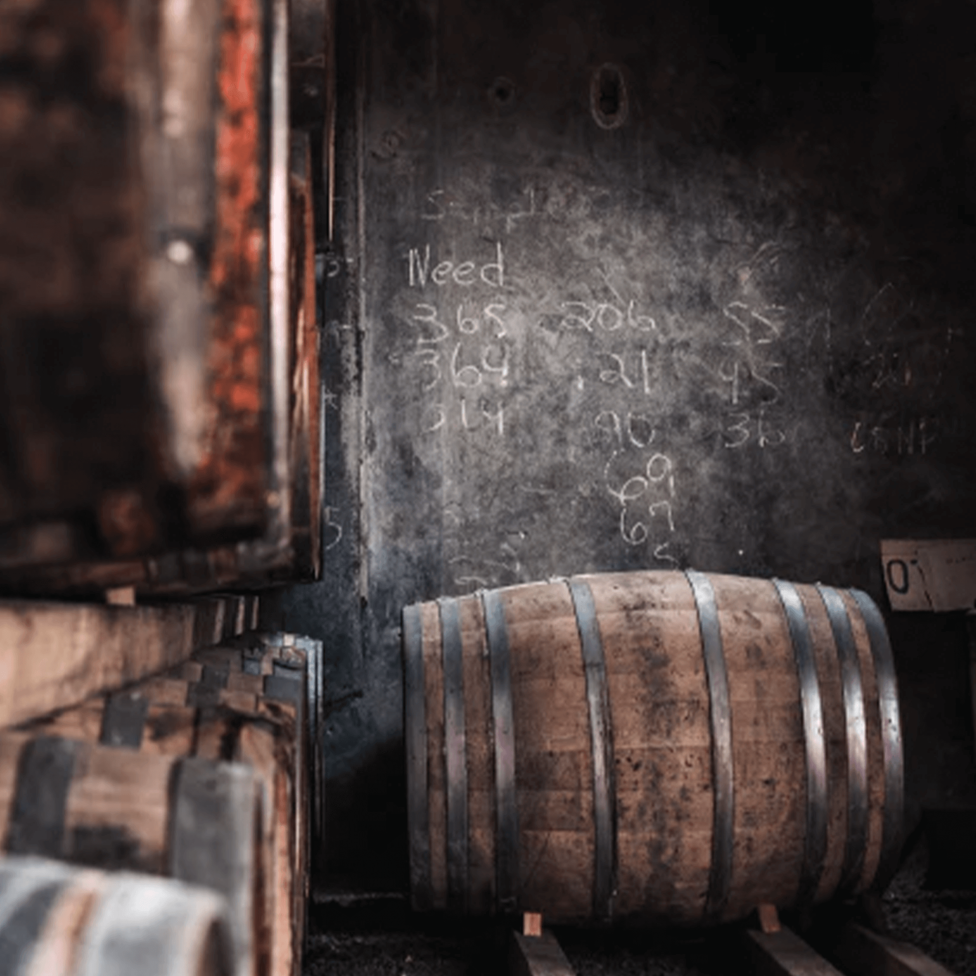 Wooden whiskey barrels in a cellar with chalkboard notes on the wall, emphasizing the aging process.