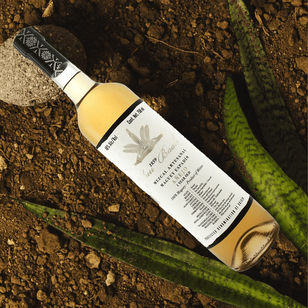Yuu Baal Mezcal Añejo bottle surrounded by agave plants on earthy ground, showcasing its rich golden hue.