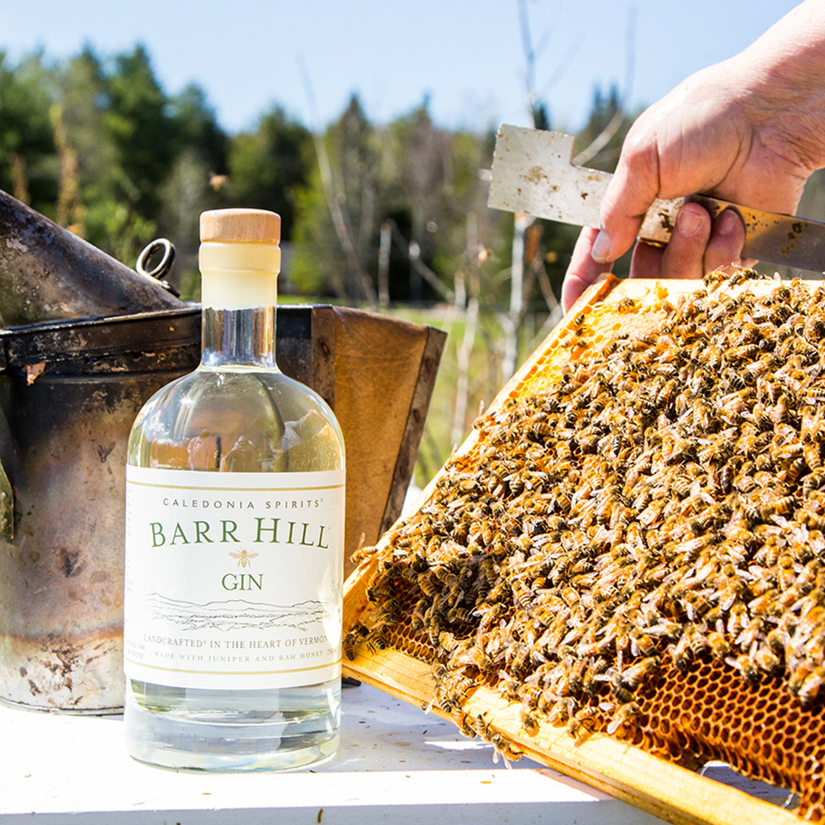 Barr Hill Gin