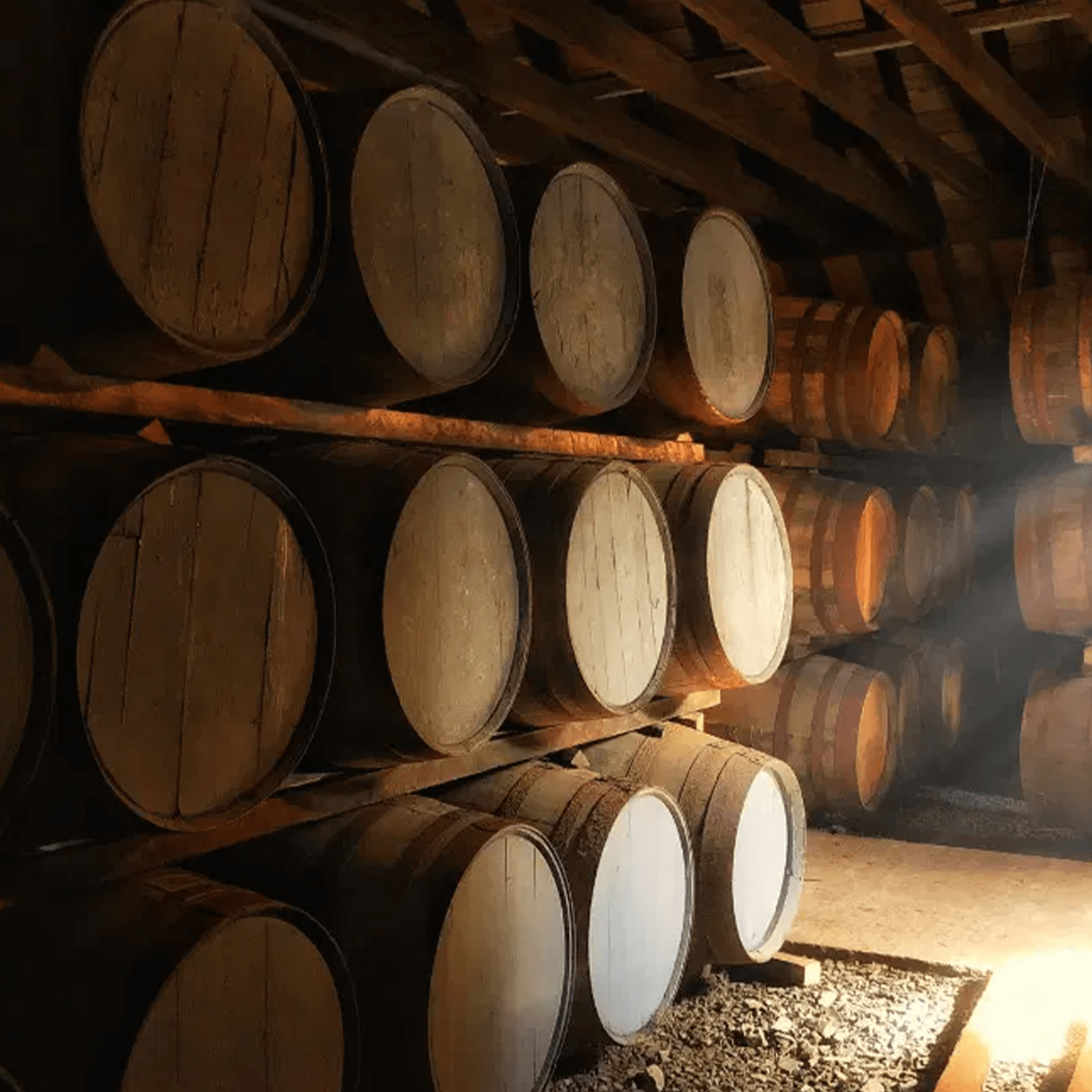 Aged bourbon barrels stacked in a rustic warehouse, showcasing the aging process of quality whiskey.