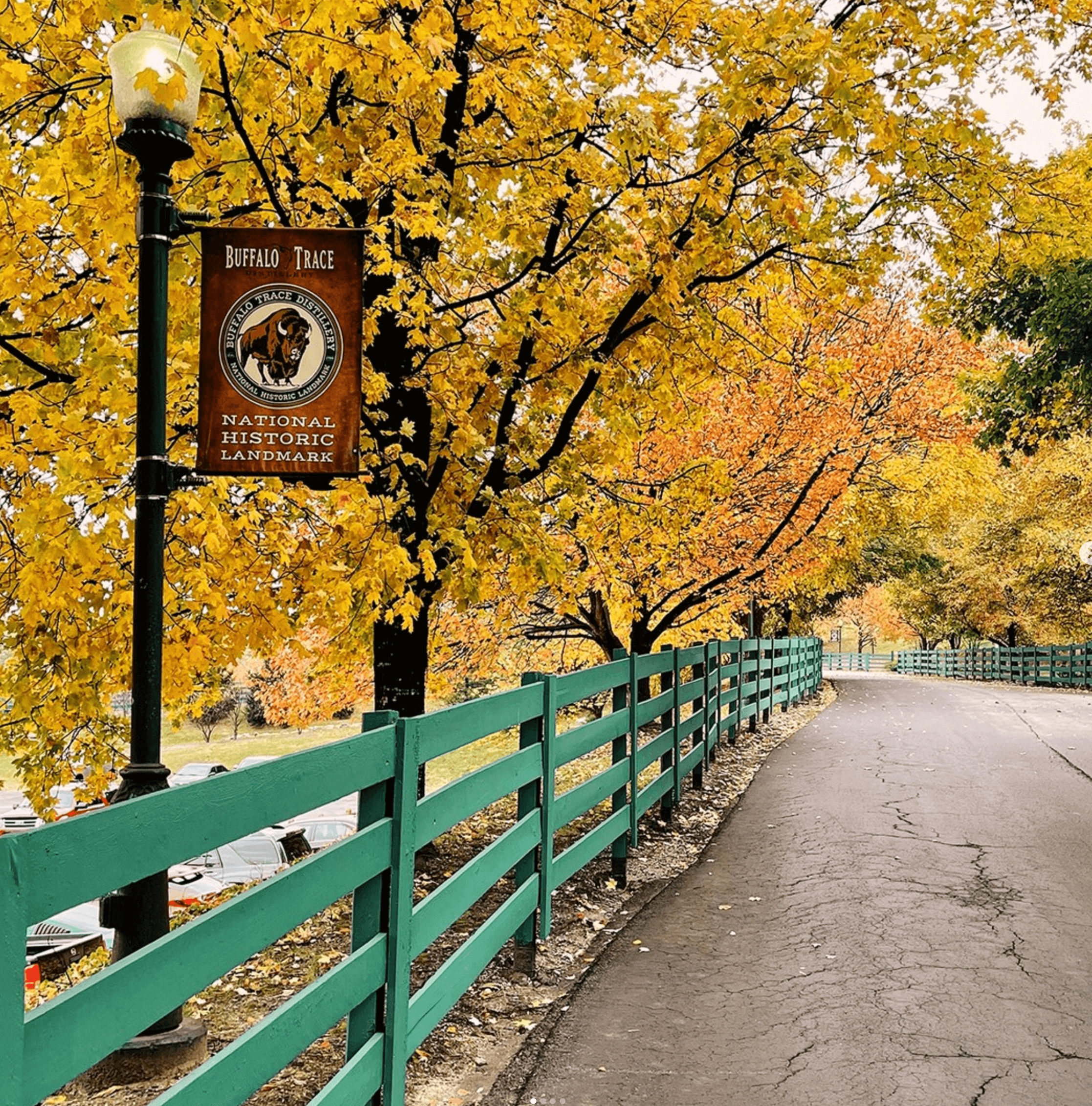 Scenic view of Buffalo Trace National Historic Landmark with colorful autumn leaves and a turquoise fence.