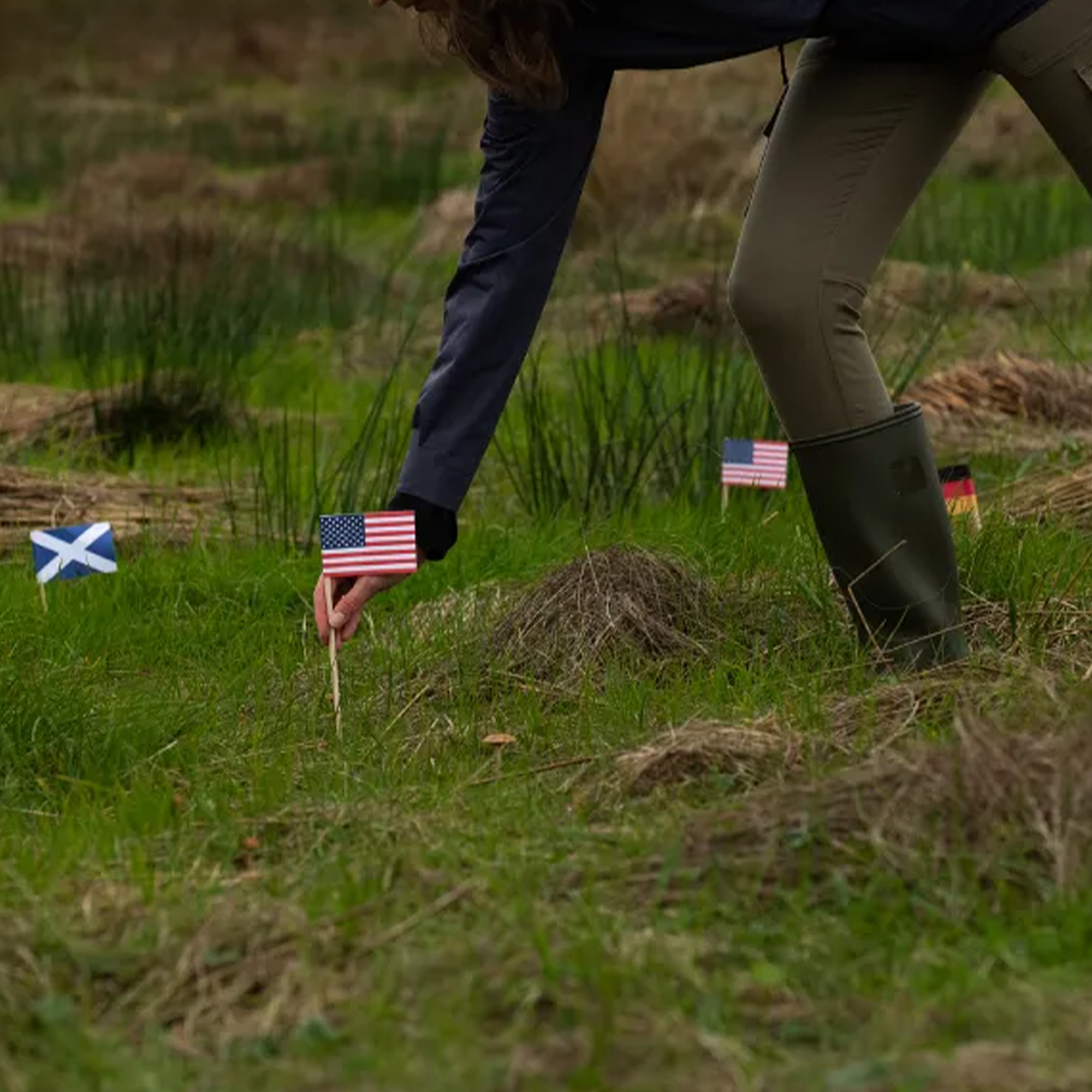 Person placing flags in the ground, including American and Scottish flags, in a grassy field.
