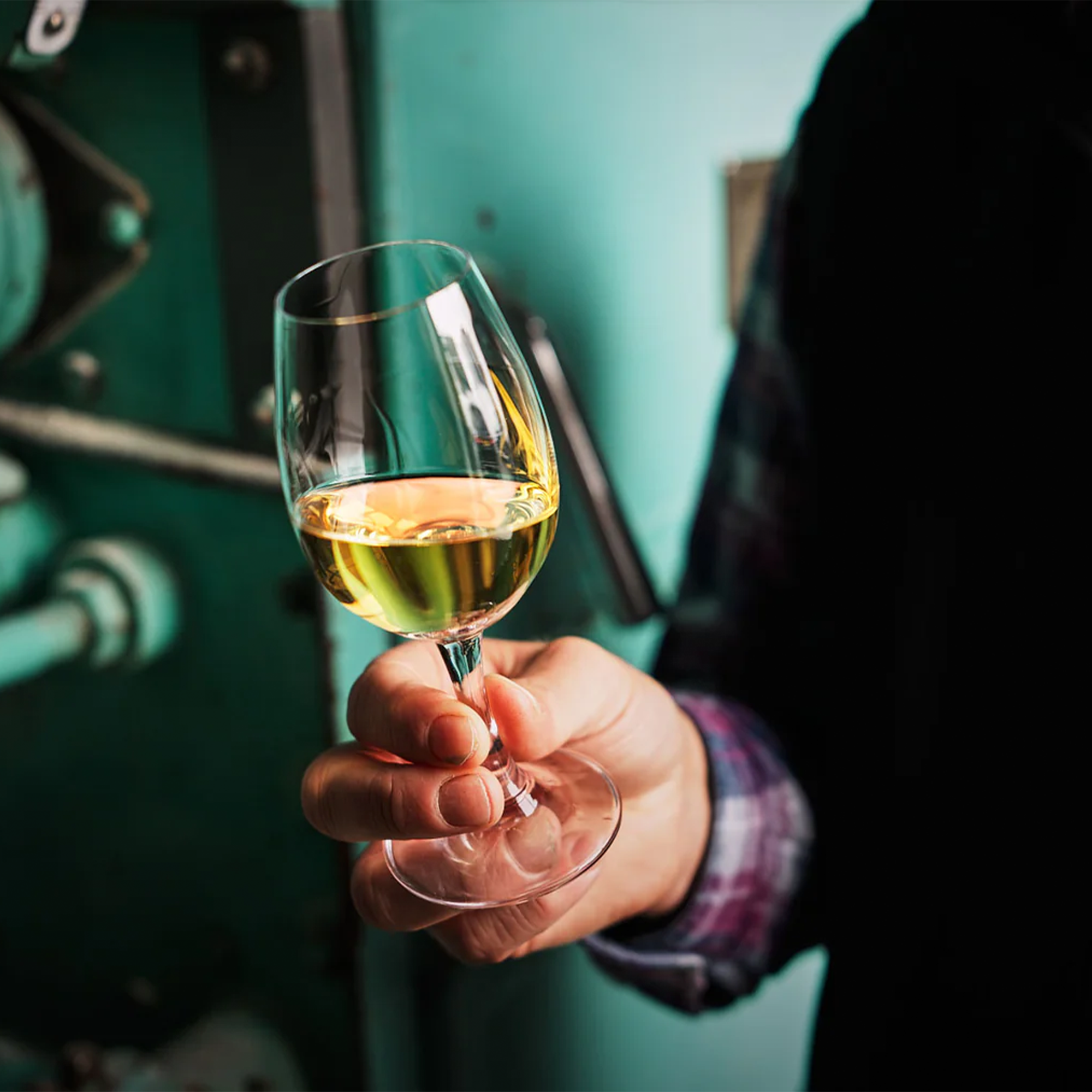 Close-up of a hand holding a glass of Bruichladdich Bere Barley 2013 Single Malt Scotch against a rustic background.