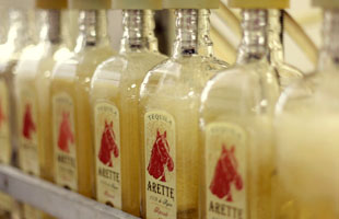 Arette Gran Clase Extra Anejo Artesanal Tequila