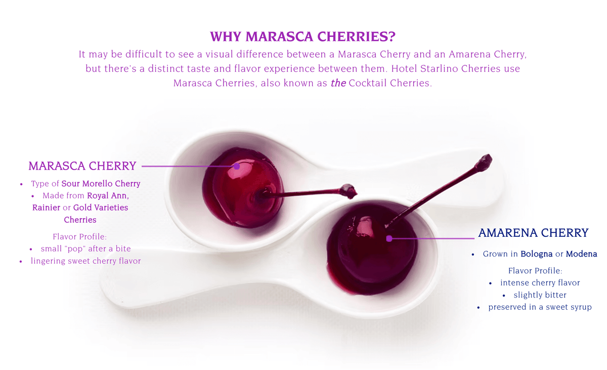 Comparison of Marasca and Amarena cherries with flavor profiles, showcasing their distinct characteristics.