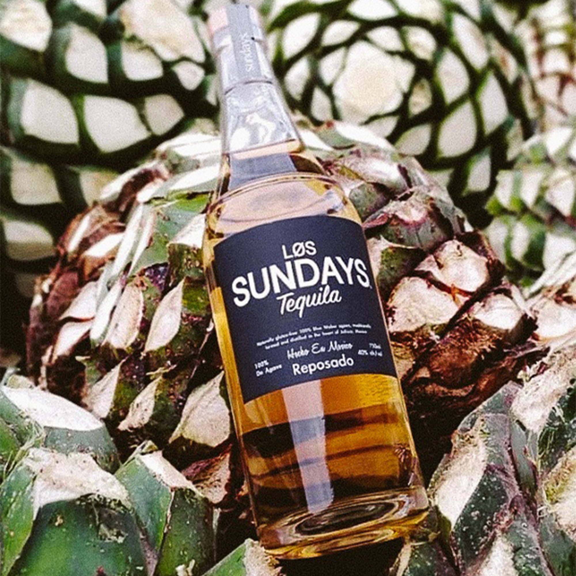 Los Sundays Reposado Tequila