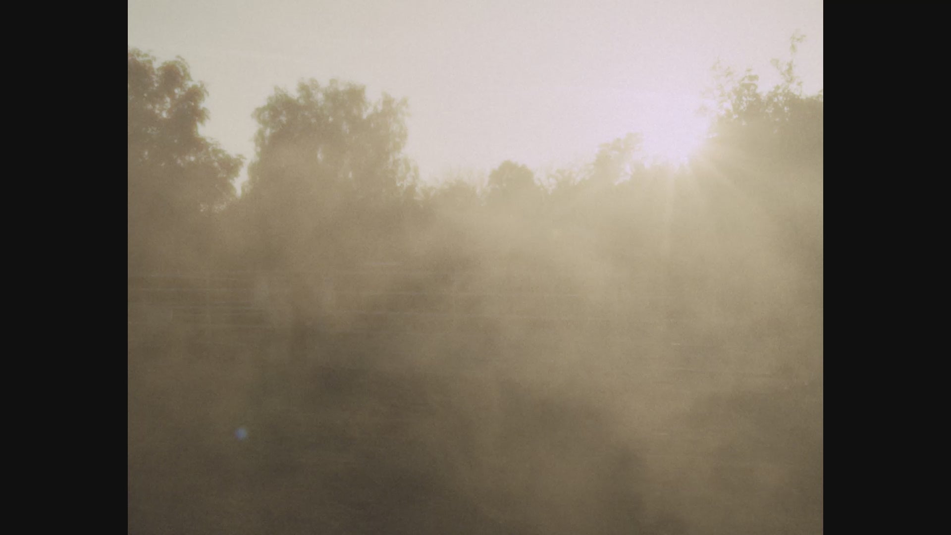 Sunrise illuminating a misty landscape with silhouettes of trees in the foreground.