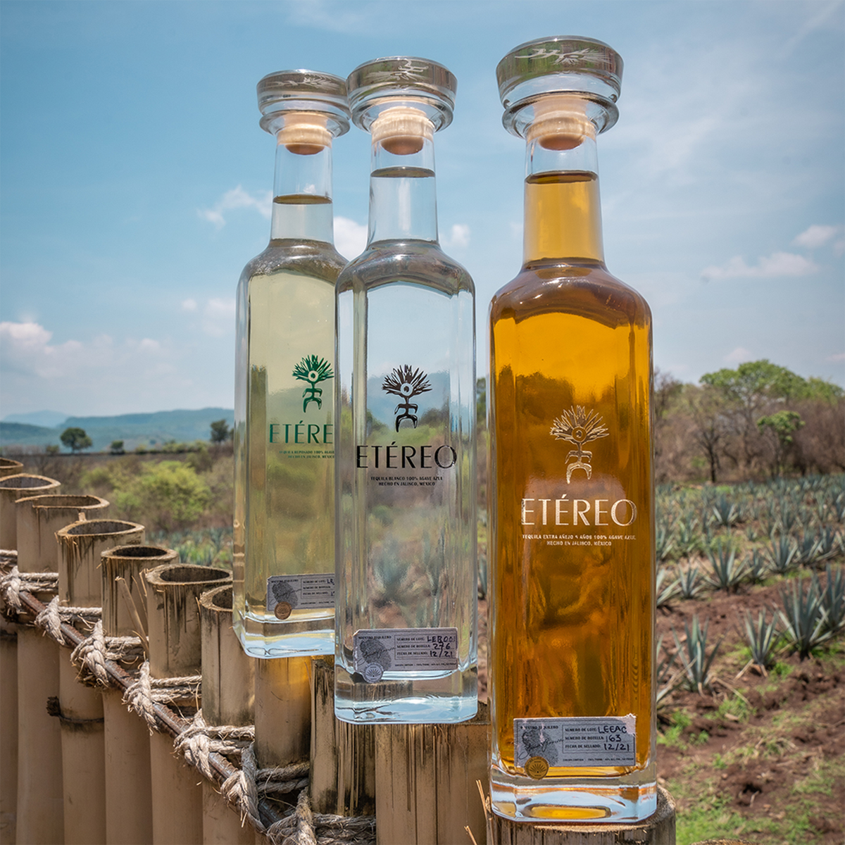 Etéreo Tequila bottles in a scenic agave field, showcasing Extra Anejo, Blanco, and Anejo varieties.