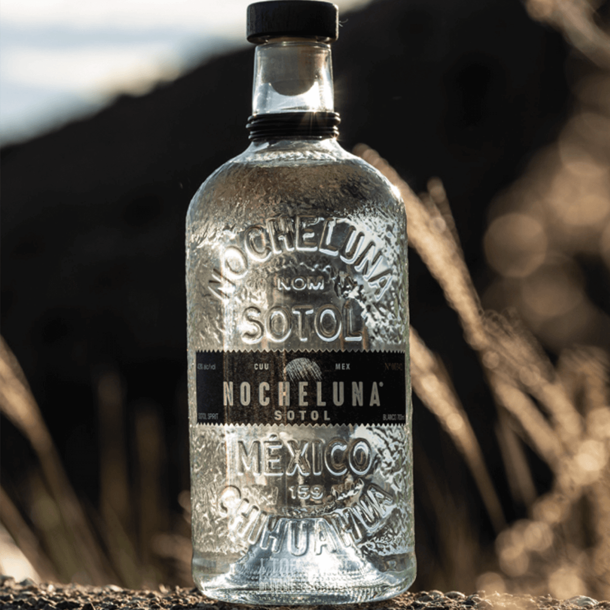 Nocheluna Sotol Blanco Spirit bottle, showcasing its unique design and brand, set against a natural backdrop.