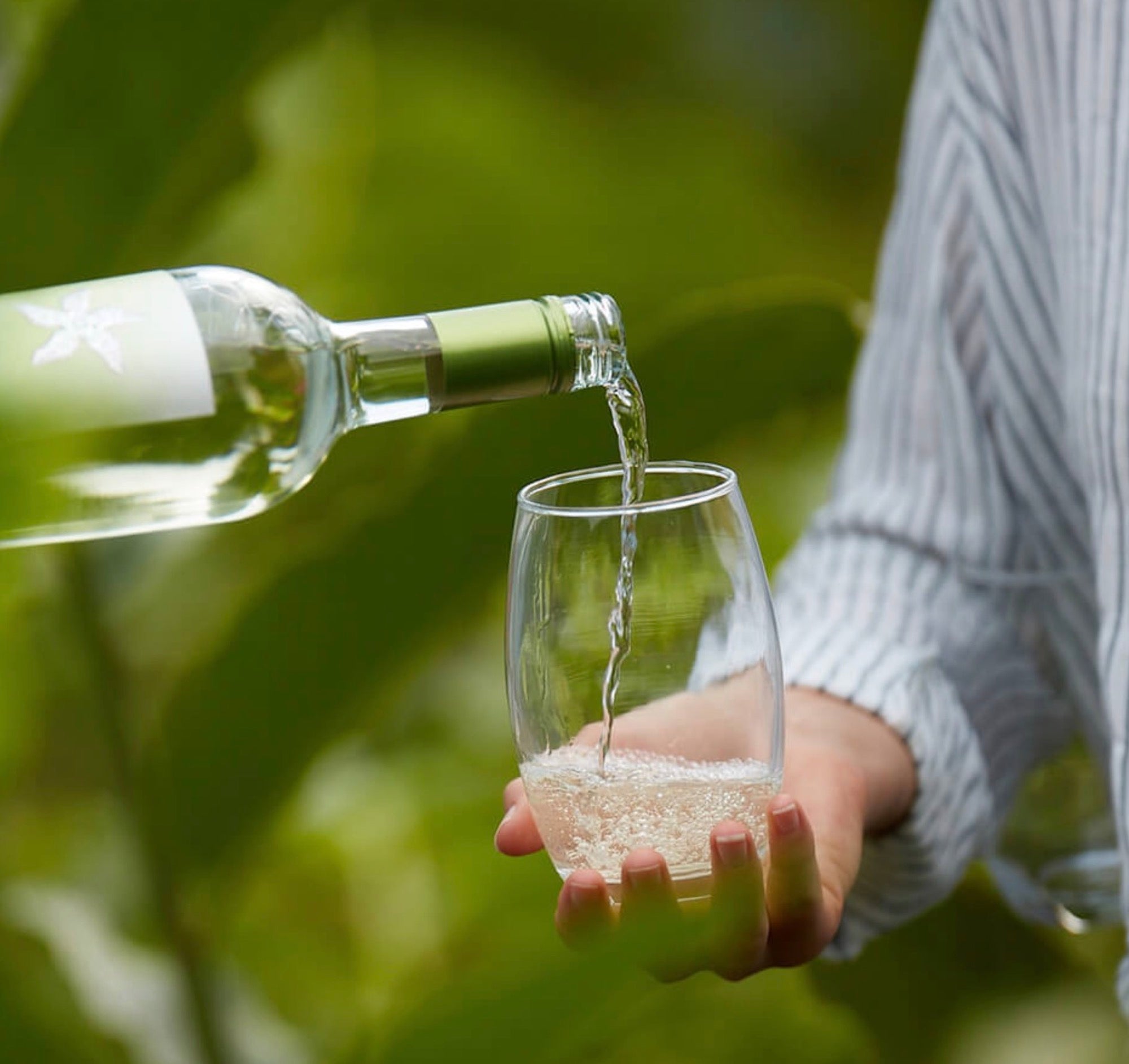Starborough Marlborough Sauvignon Blanc