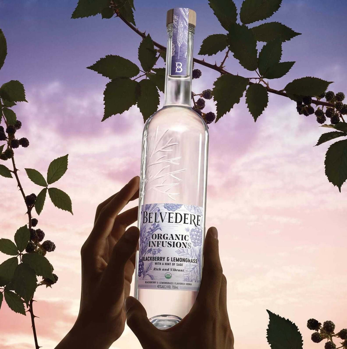 Belvedere Organic Infusions Blackberry & Lemongrass Vodka bottle held against nature backdrop, showcasing organic ingredients.
