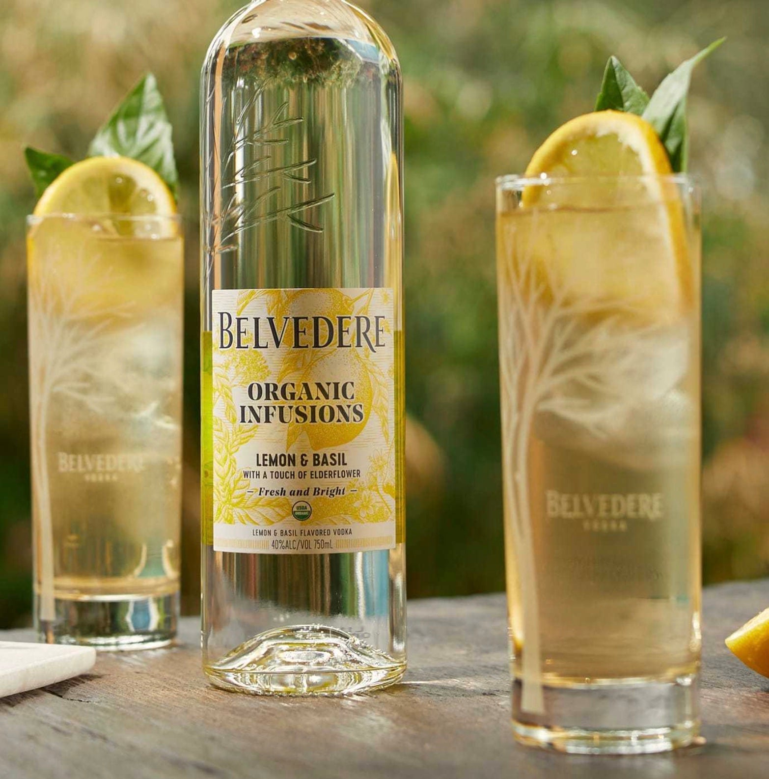 Belvedere Organic Infusions Lemon & Basil Vodka served in glasses with fresh lemon and basil garnish.
