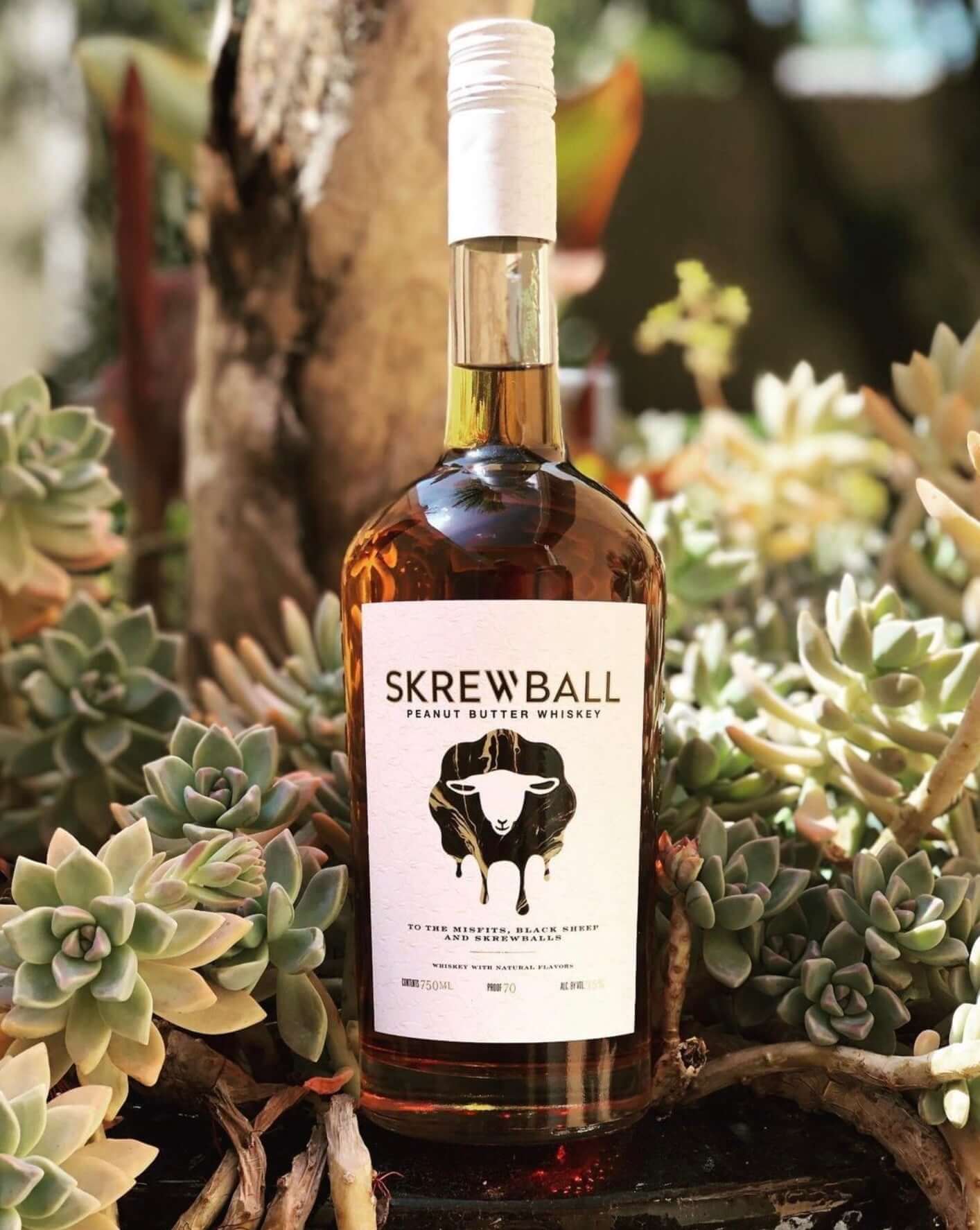 Bottle of Skrewball Peanut Butter Whiskey surrounded by succulent plants, showcasing its unique blend of whiskey and peanut butter.