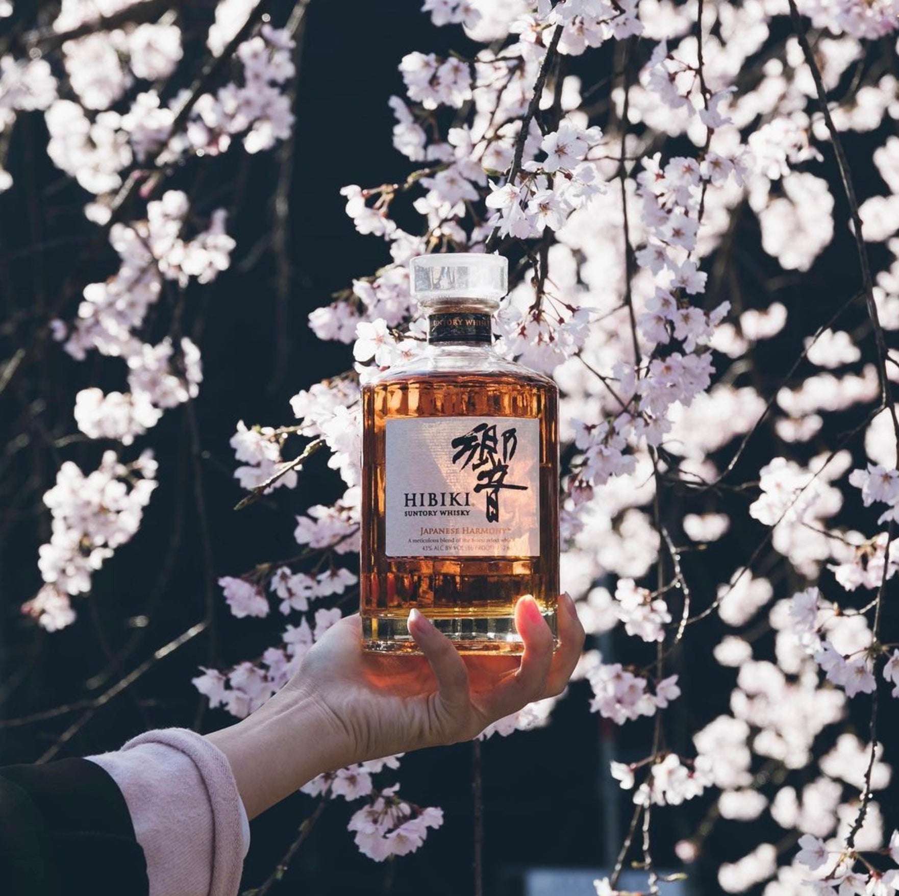 Hibiki Harmony Japanese Whisky bottle held against a backdrop of cherry blossoms, showcasing its amber color.