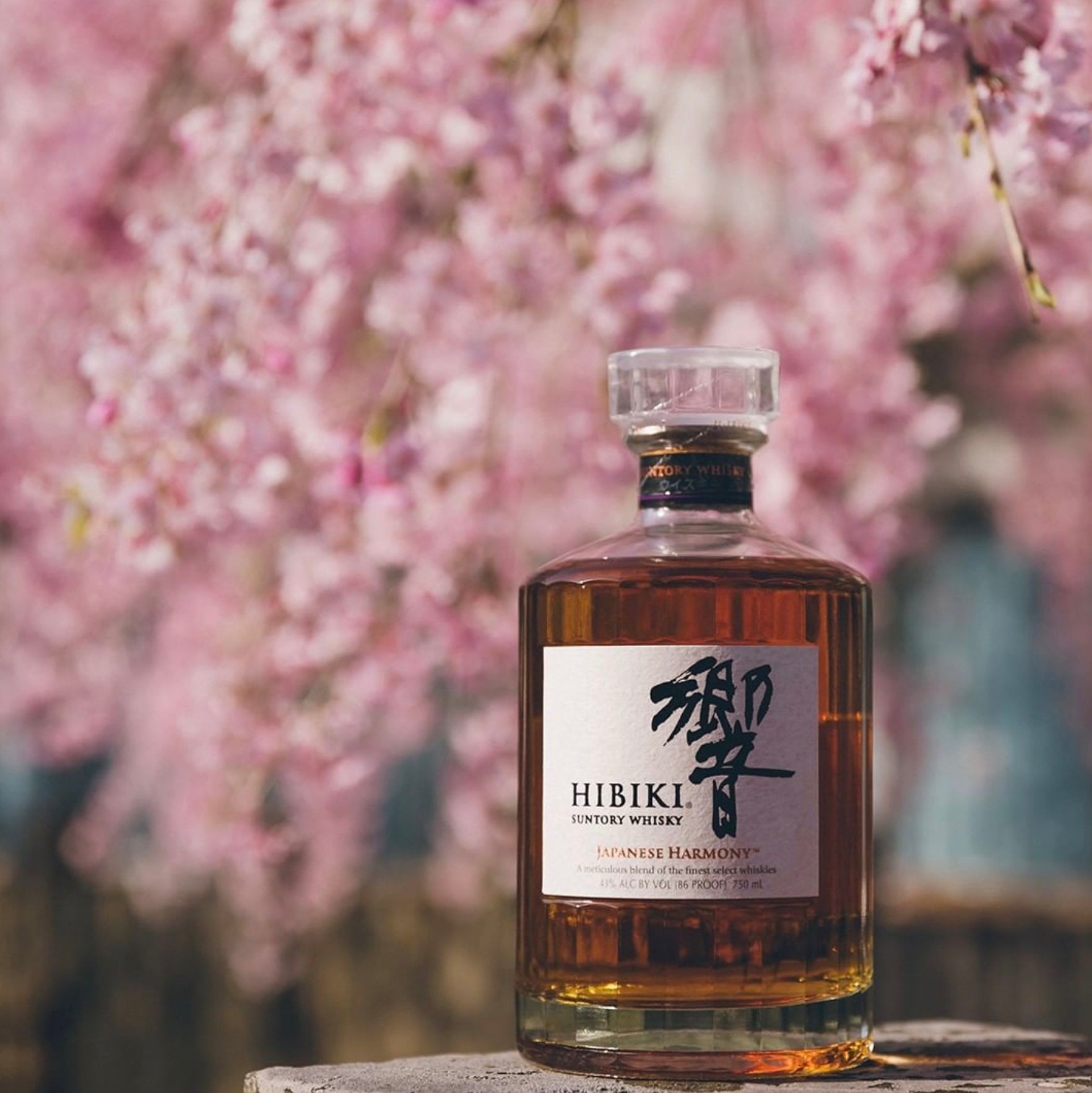 Hibiki Harmony Japanese Whisky bottle set against blooming cherry blossoms, showcasing its amber color.