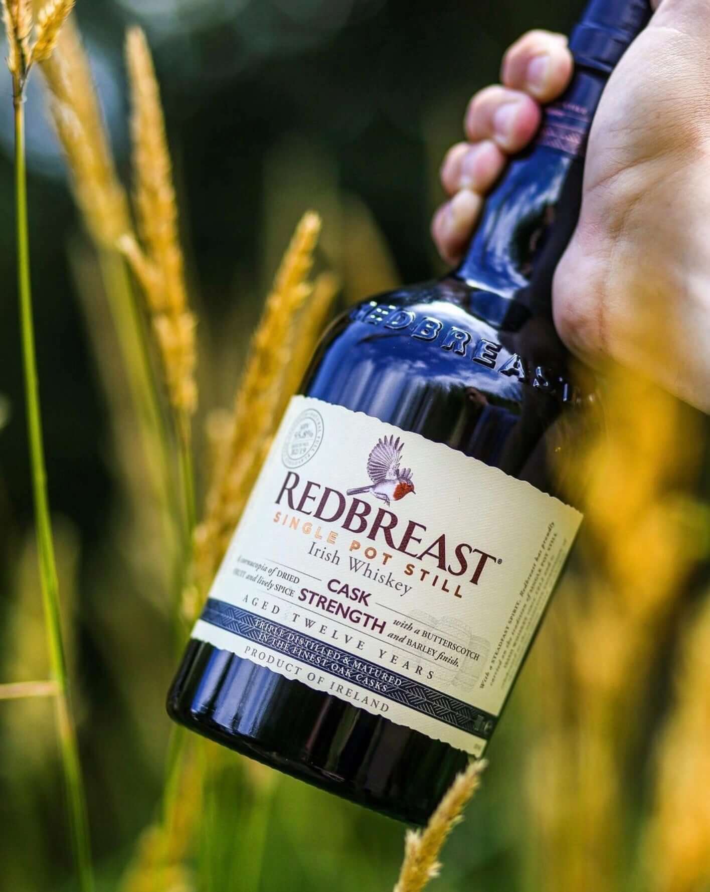 Redbreast Cask Strength 12 Year Irish Whiskey bottle held in a hand, surrounded by grass and sunlight.