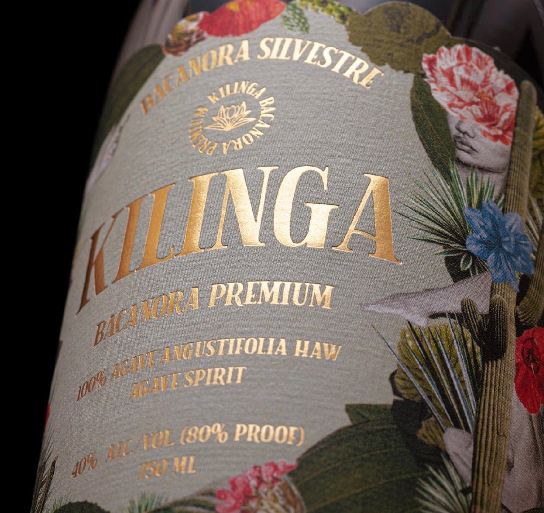 Kilinga Bacanora Silvestre