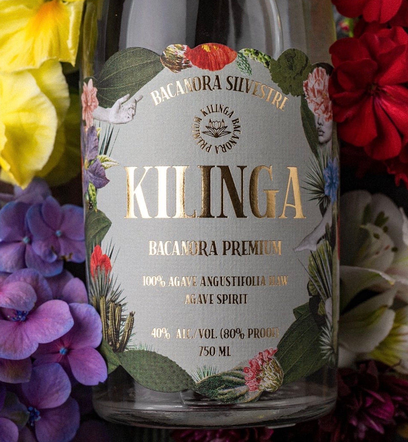 Kilinga Bacanora Silvestre