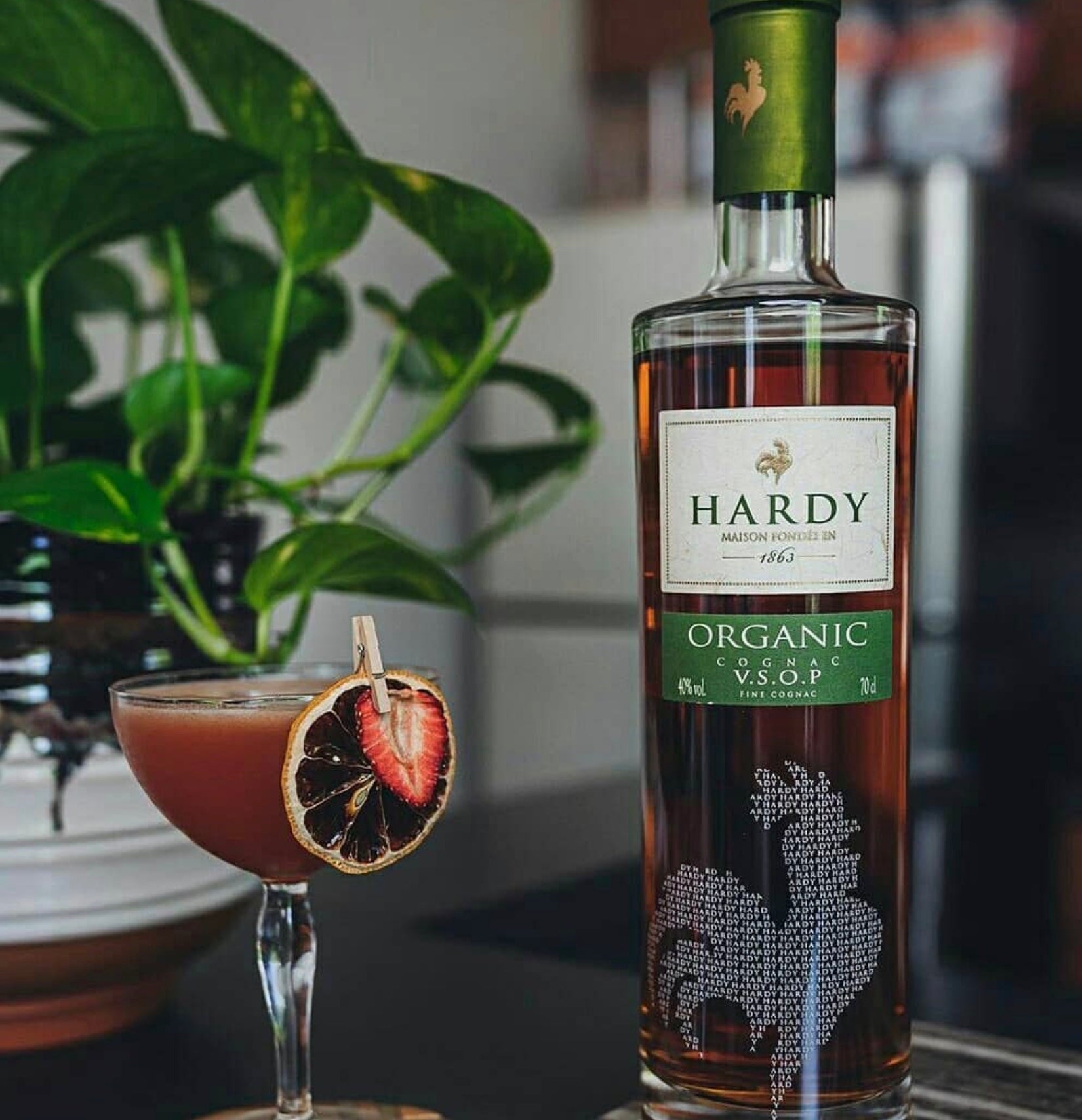 Hardy VSOP Organic Cognac