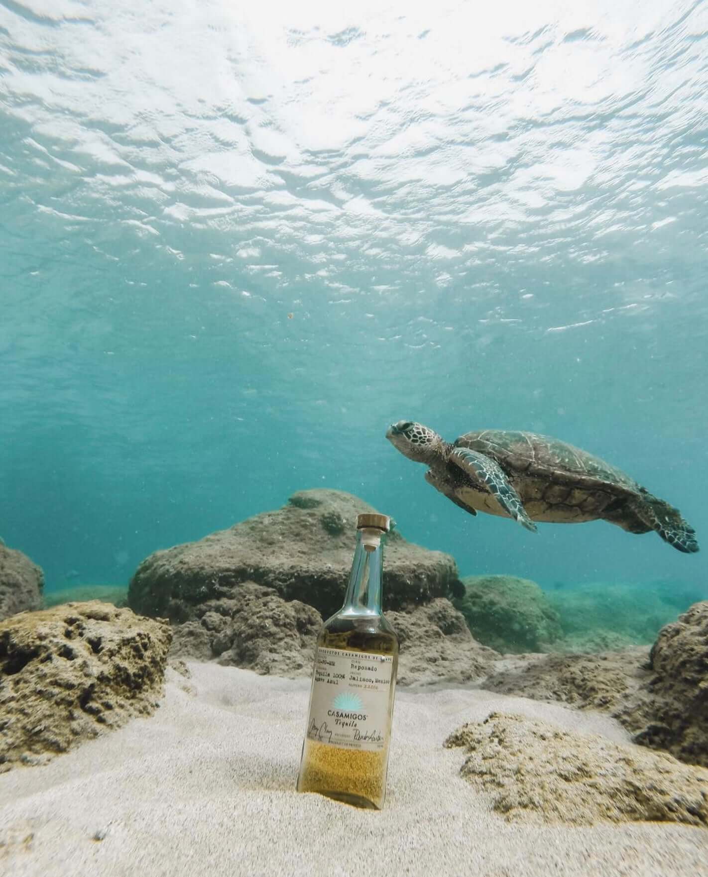 Casamigos Reposado Tequila bottle undersea with a swimming turtle in clear waters and sandy bottom.