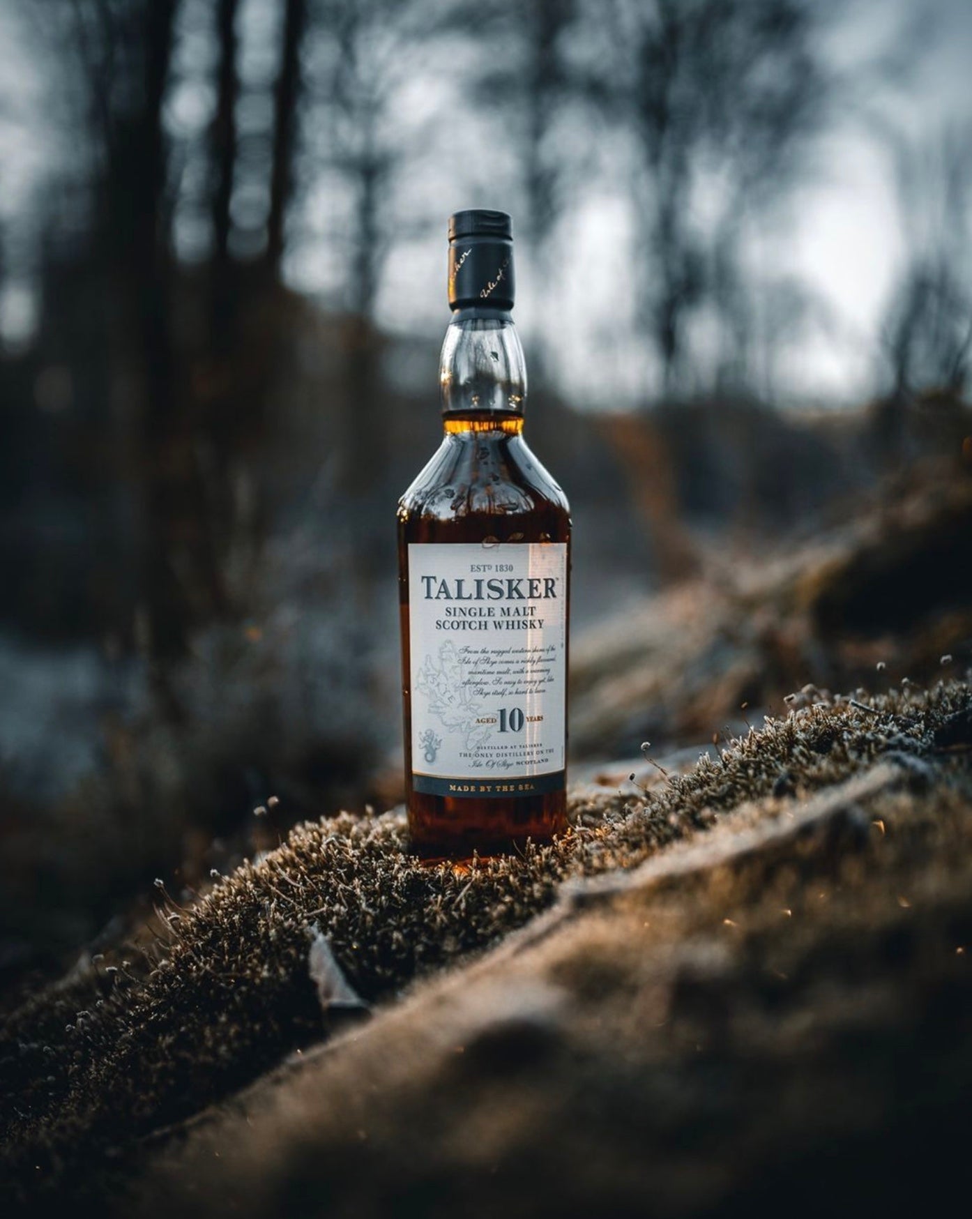 Talisker 10 Year Single Malt Scotch Whisky bottle on a mossy surface, surrounded by trees and greenery.