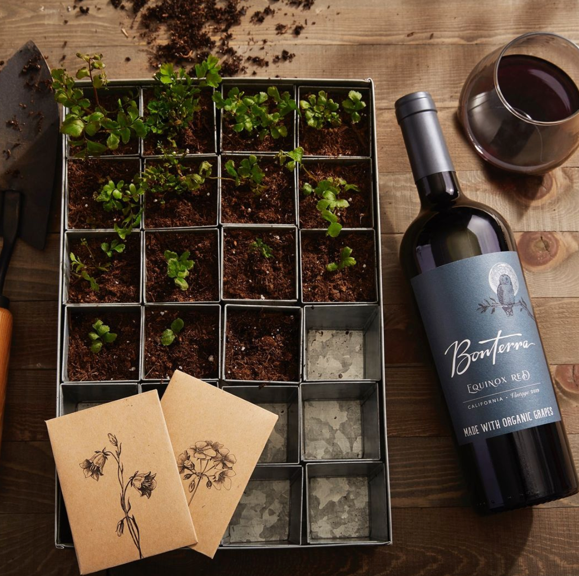 Bonterra Equinox Red Blend