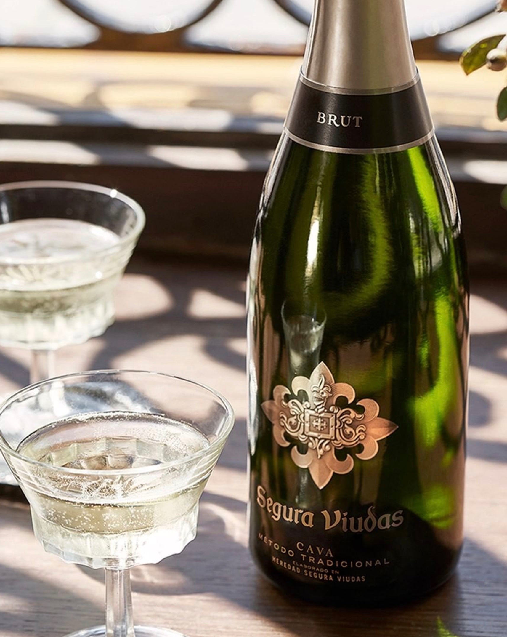 Segura Viudas Cava Brut