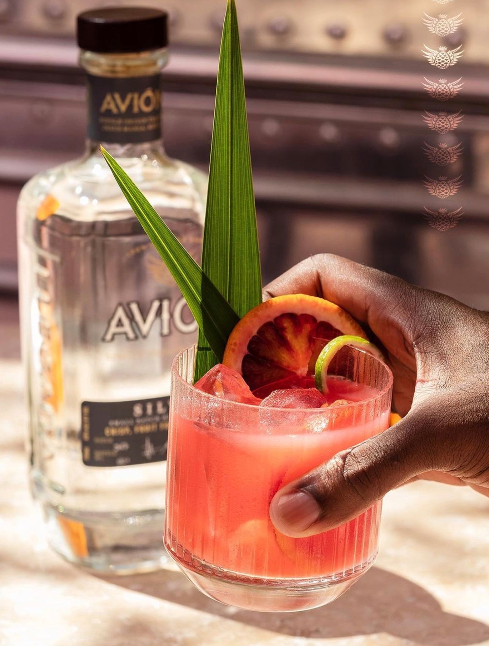 Avión Silver Tequila