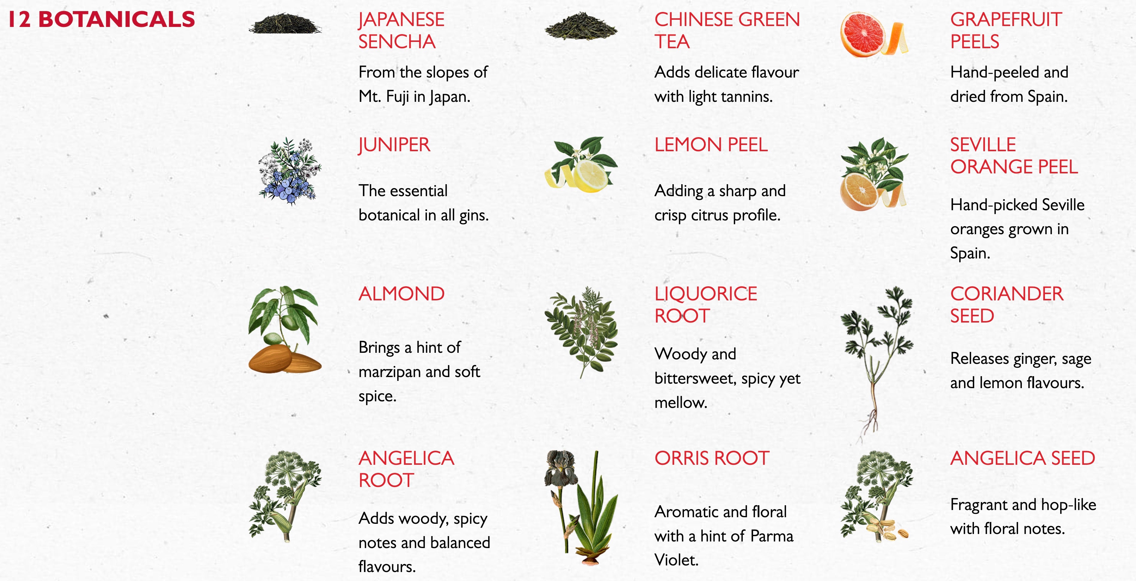 Beefeater 24 London Dry Gin