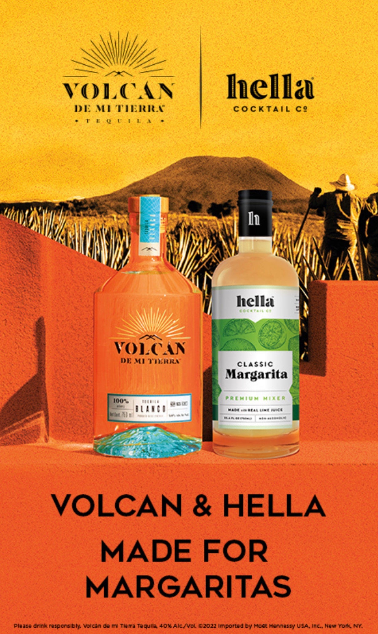 Volcán De Mi Tierra Margarita Kit