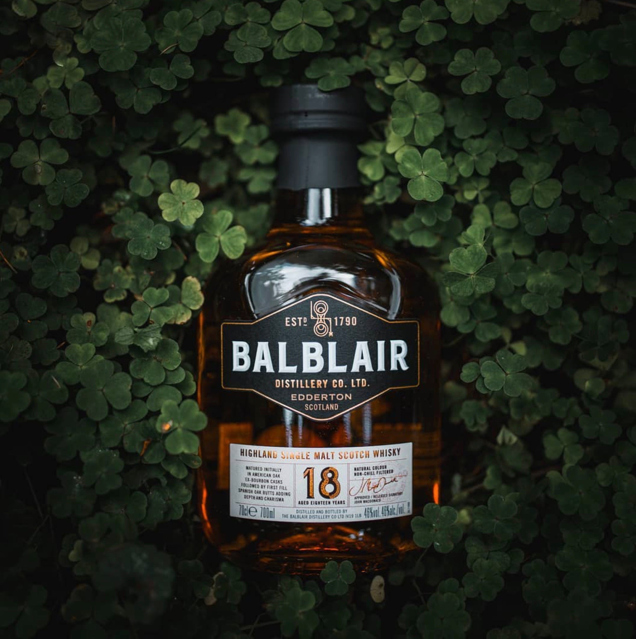 Balblair 18 Year Old Scotch Whisky