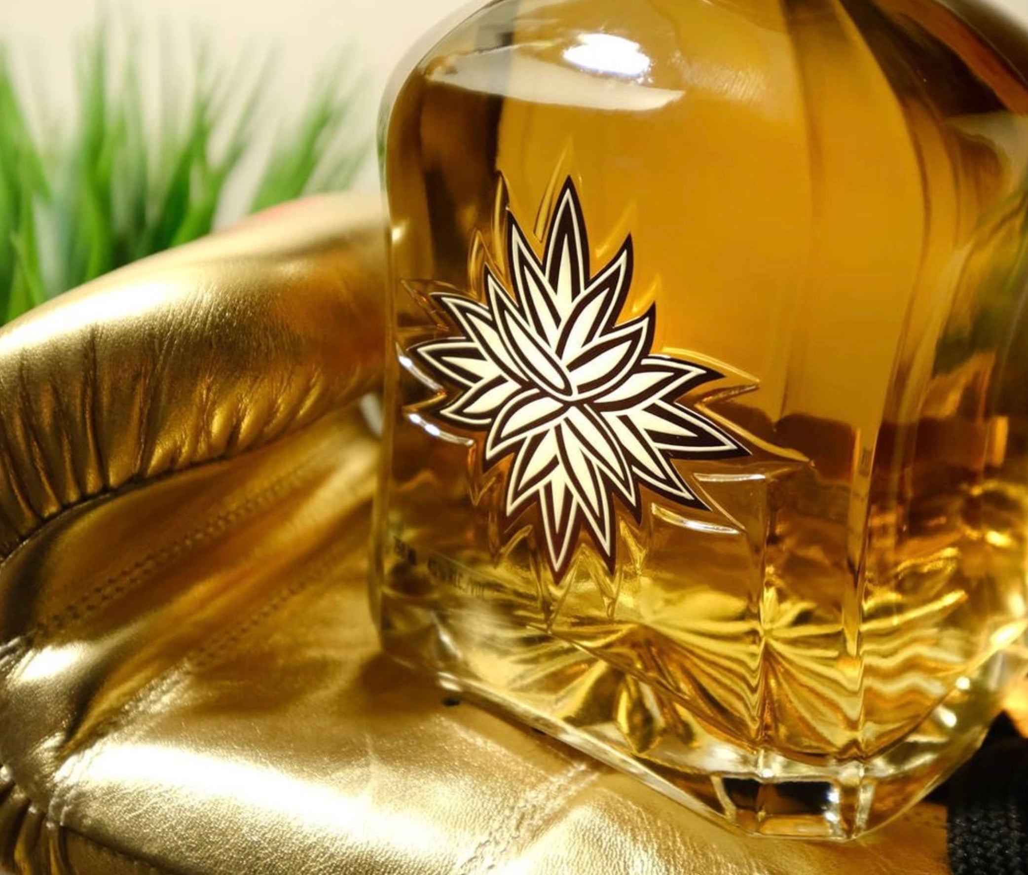 El Jefe Reposado Tequila