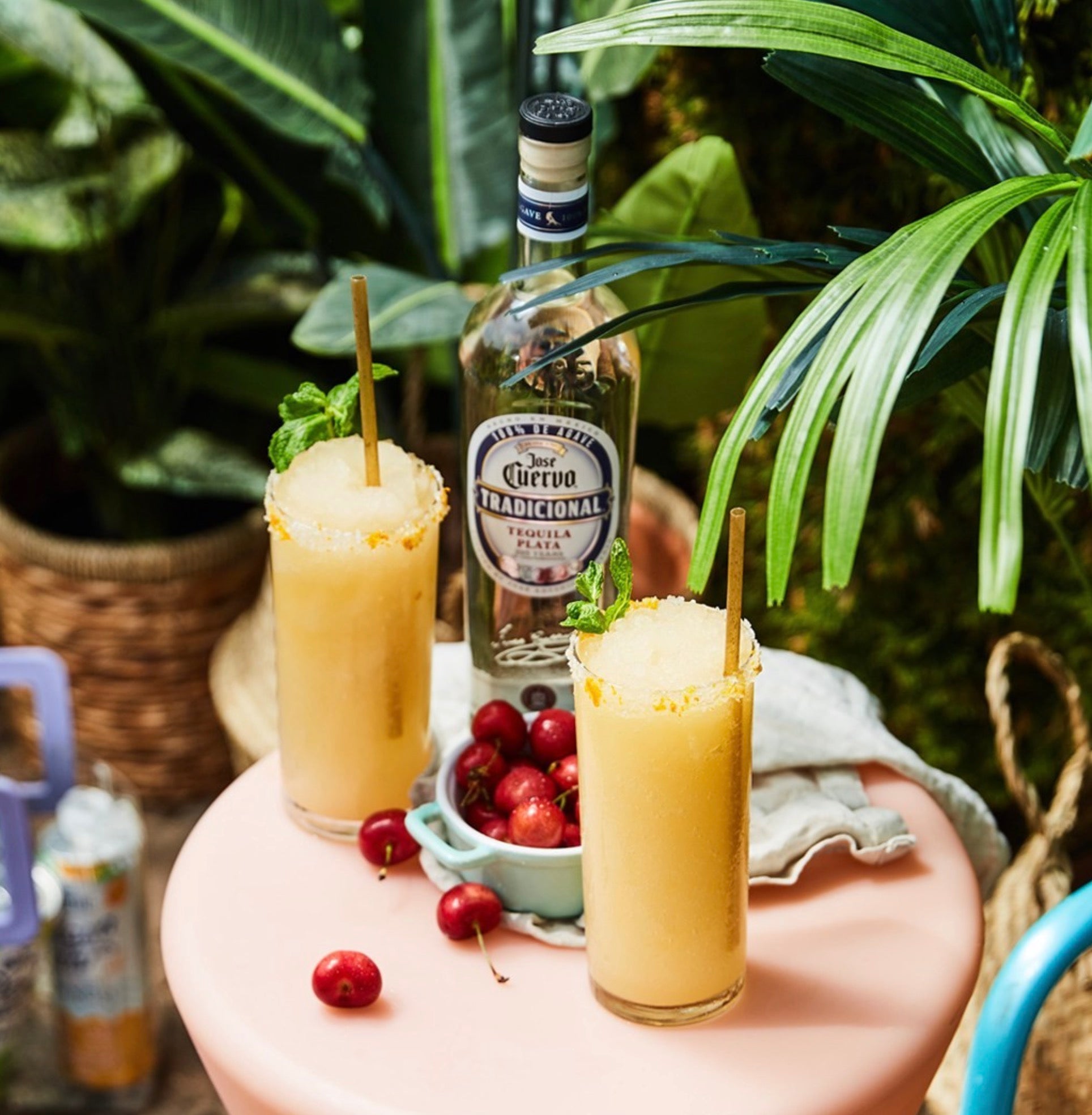 Jose Cuervo Silver Tradicional Tequila