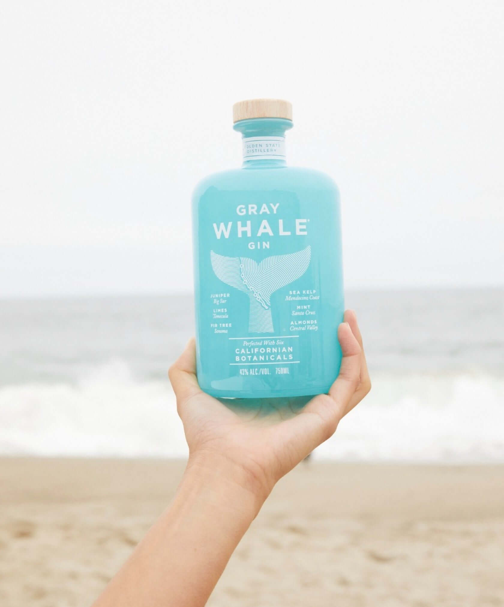 Hand holding a bottle of Gray Whale Gin by the beach, showcasing sustainable California botanicals.