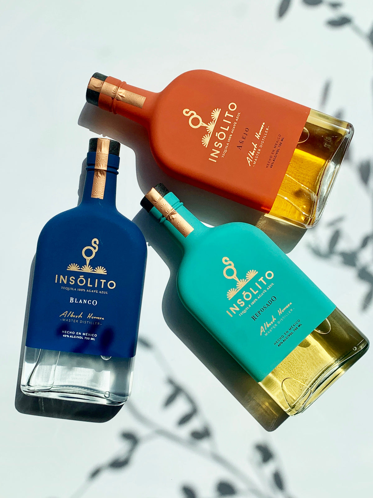 Insólito Blanco Tequila