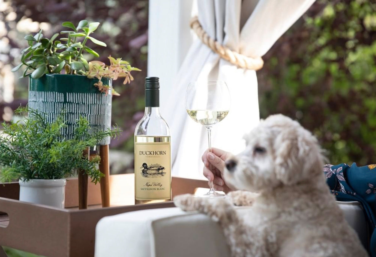 Duckhorn North Coast Sauvignon Blanc