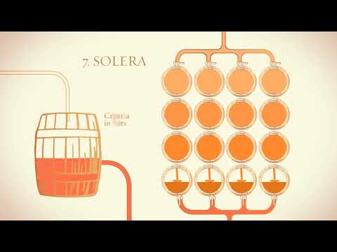 Diagram illustrating the Solera process in rum production, highlighting barrel aging and blending methods.