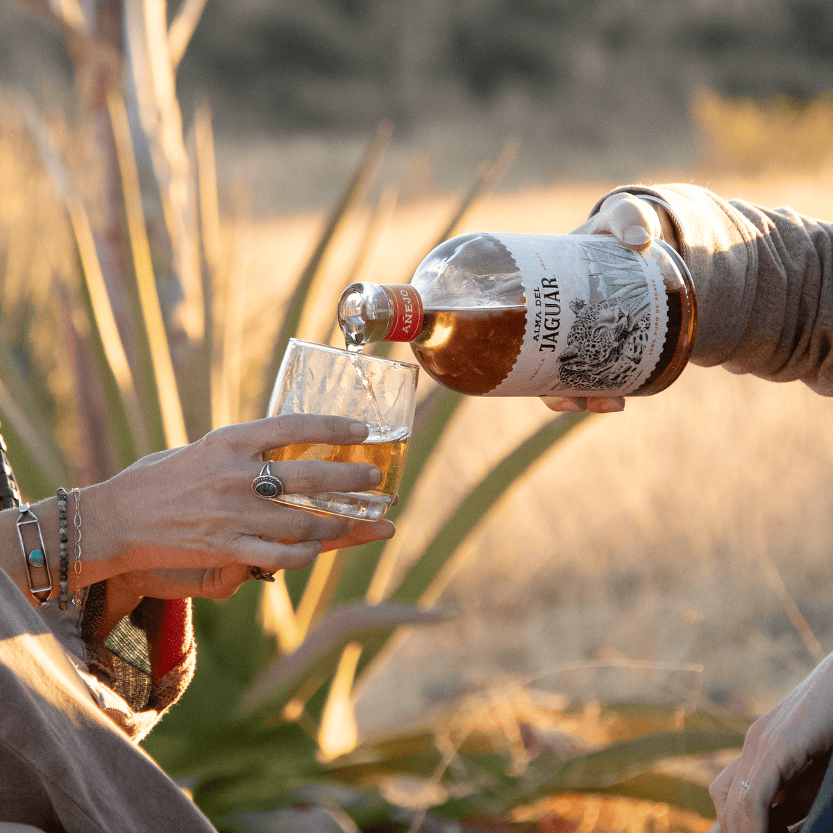 Pouring Alma del Jaguar Añejo Tequila into a glass, surrounded by nature, showcasing craftsmanship and tradition.