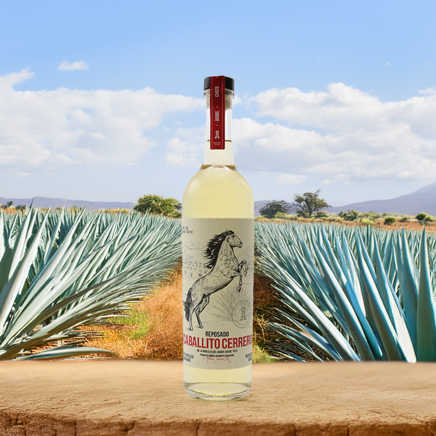 Caballito Cerrero Chato Reposado Tequila