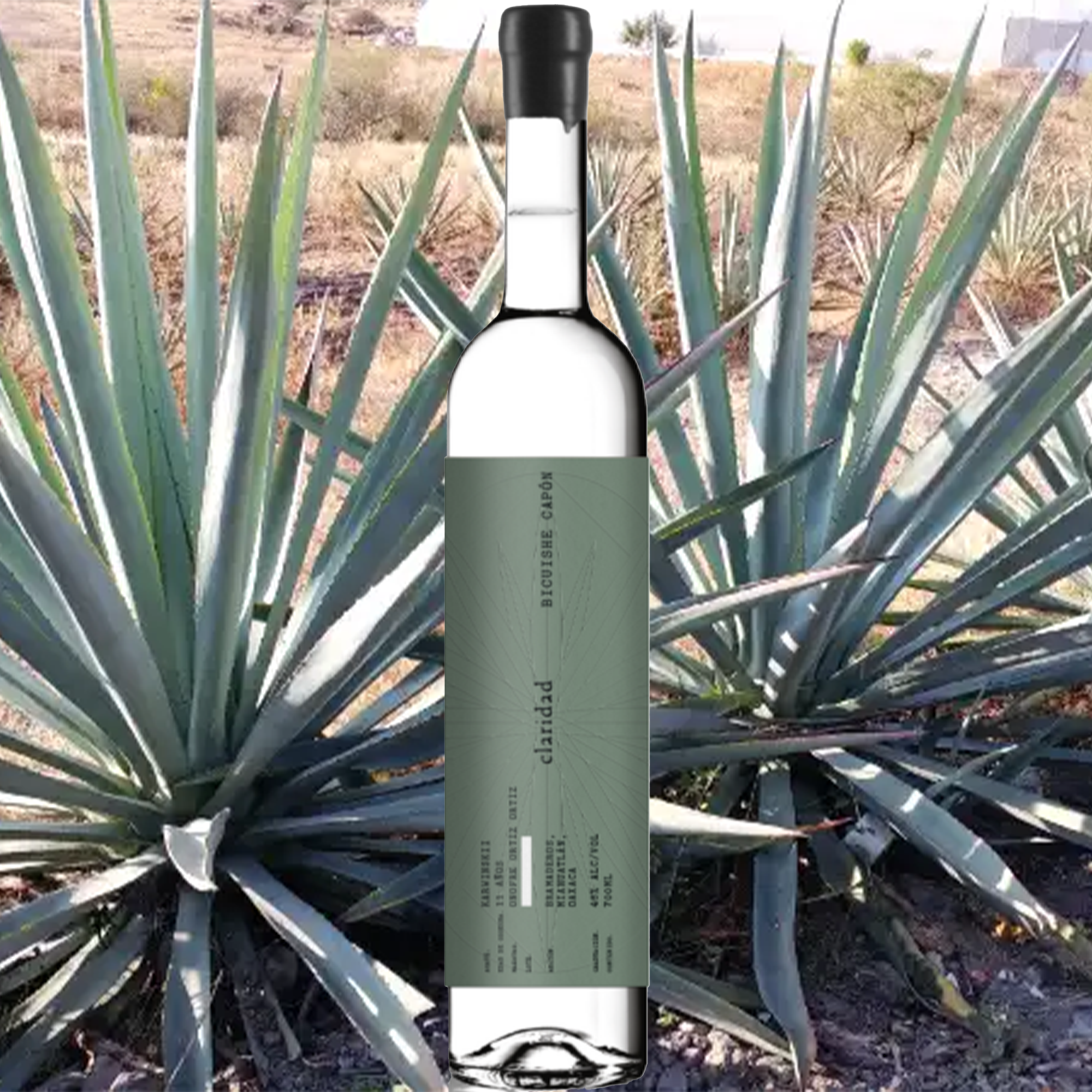 Claridad Bicuishe Capon Mezcal 700ml