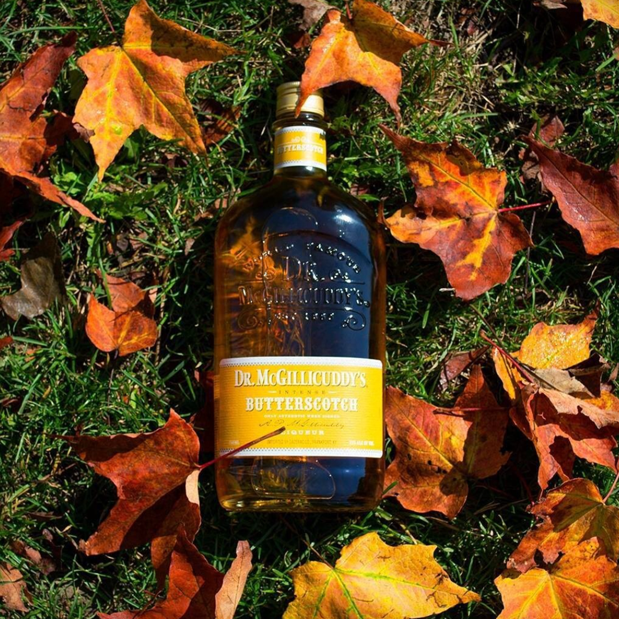 Dr. McGillicuddy's Butterscotch 1L